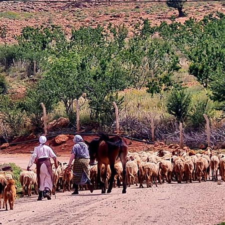 Ferme D"Hote Lala Fatima Ain Leuh Екстериор снимка