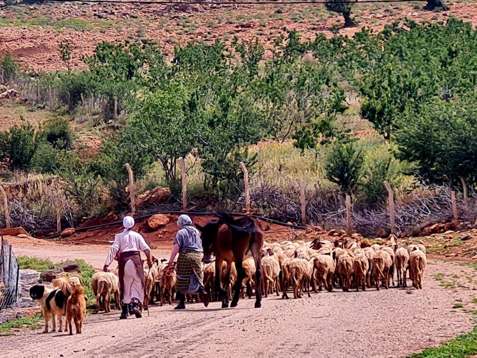 Ferme D"Hote Lala Fatima Ain Leuh Екстериор снимка